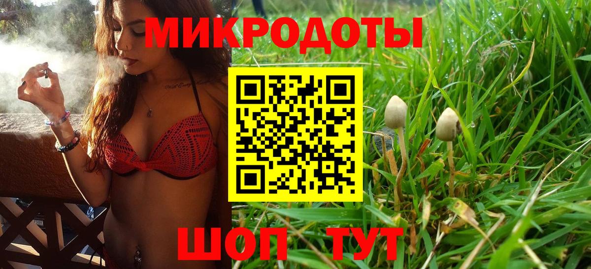 Псилоцибиновые грибы GOLDEN TEACHER Северск