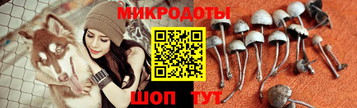 Северск  Галлюциногенные грибы Magic Shrooms  Галлюциногенные грибы MAGIC MUSHROOMS  Вход с VPN 